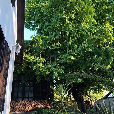 Echo Apartman Tihany Exterior foto
